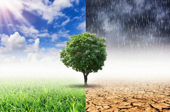 Climate Migration is an emergency