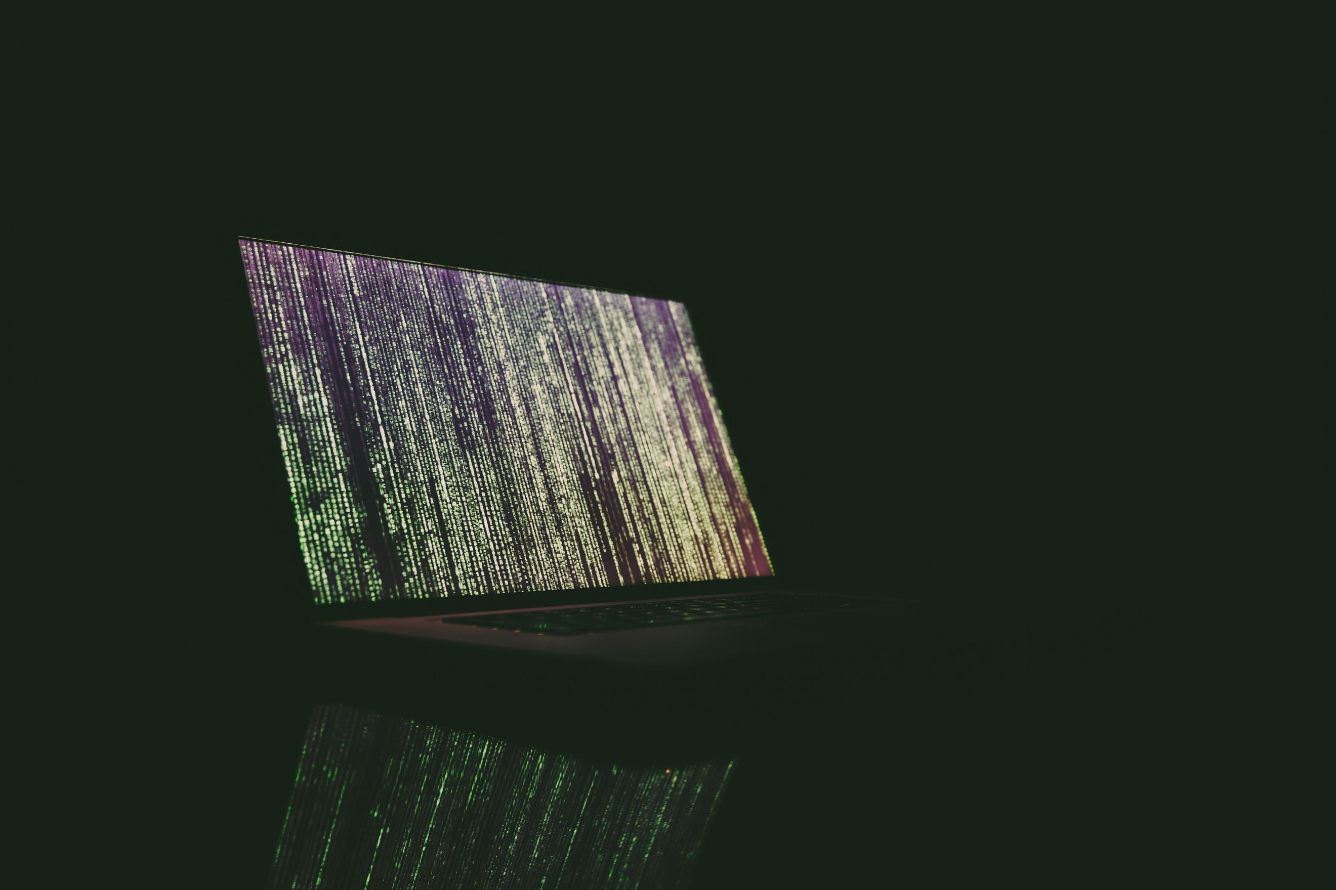 Network Services in Federal IT: Bridging the Connectivity and Security Divide