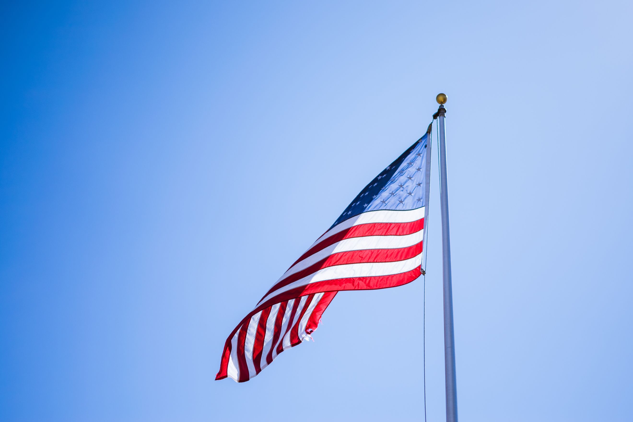 Meeting SBA Size Standards: A Primer for Federal Contractors Targeting Small Business Contracts